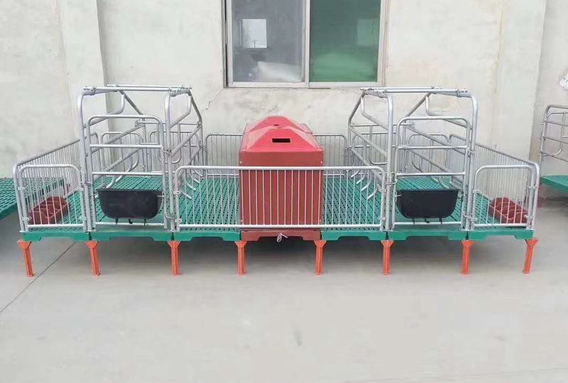 母豬產床