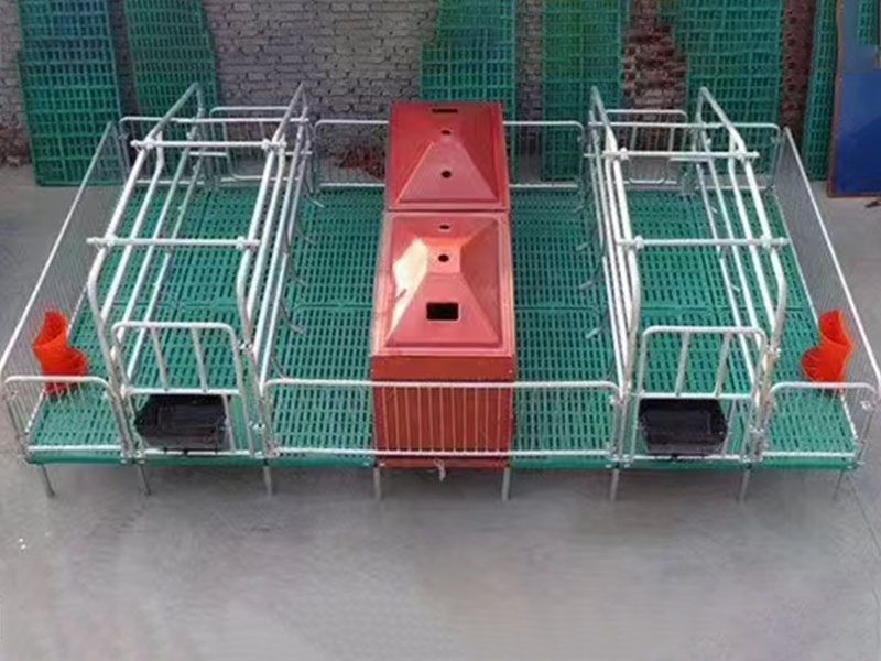 母豬產床